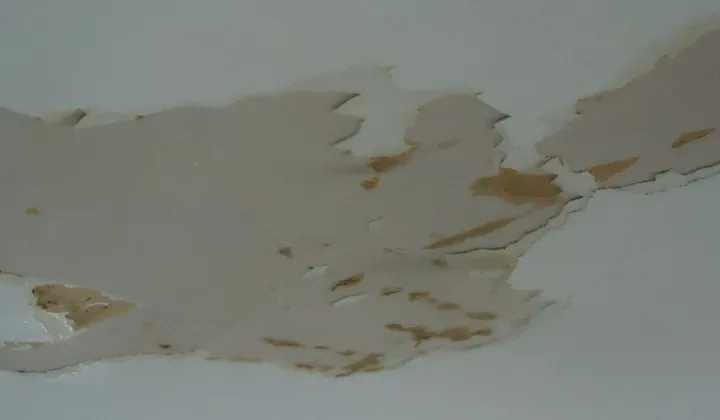 Water rings and peeling paint on a moisture-damaged ceiling